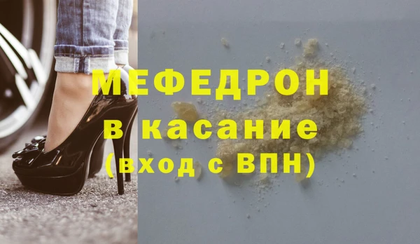 индика Гусев