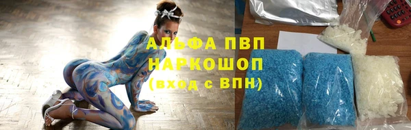 хмурый Гусь-Хрустальный