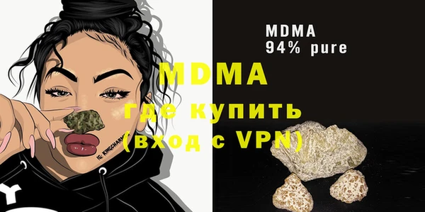 индика Гусев