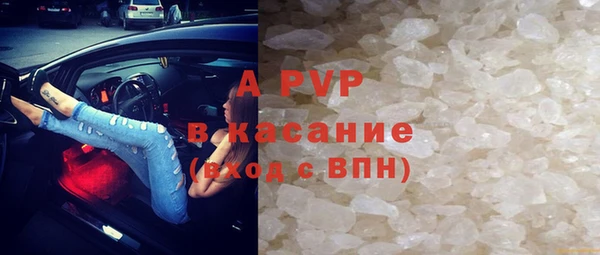индика Гусев