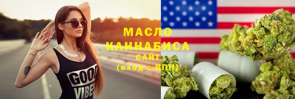 индика Гусев