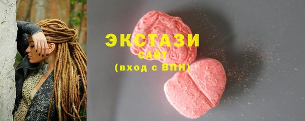 индика Гусев