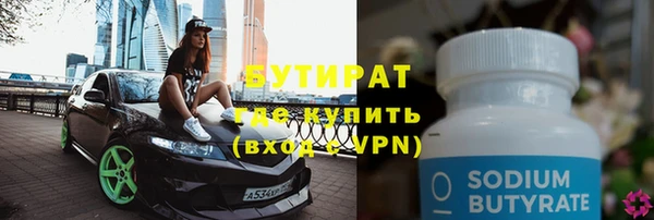 хмурый Гусь-Хрустальный