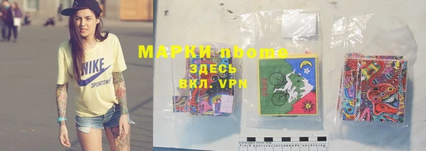 индика Гусев