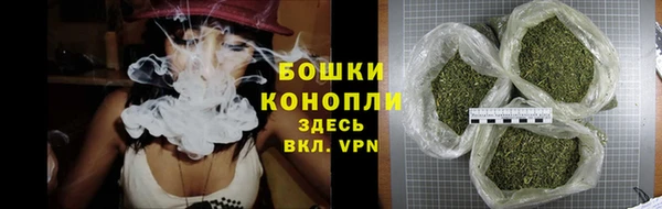 хмурый Гусь-Хрустальный