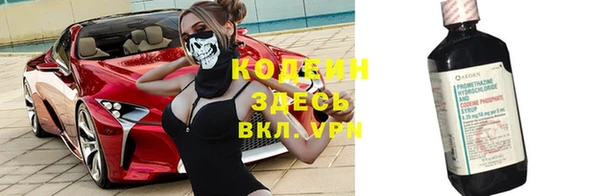 хмурый Гусь-Хрустальный