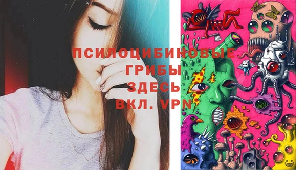 индика Гусев