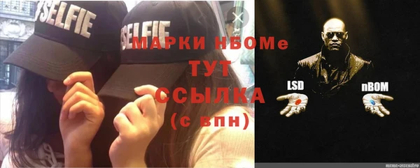 хмурый Гусь-Хрустальный