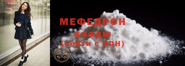 индика Гусев