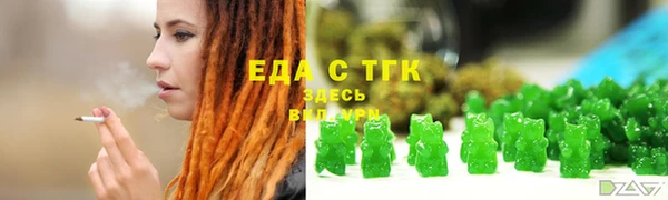 индика Гусев