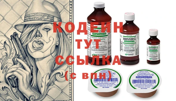 индика Гусев