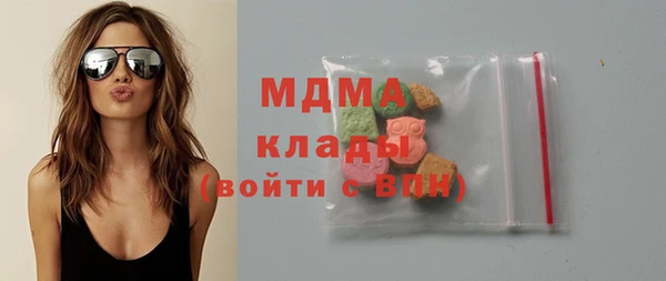 хмурый Гусь-Хрустальный