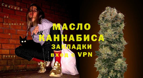 индика Гусев