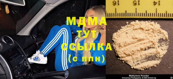 индика Гусев