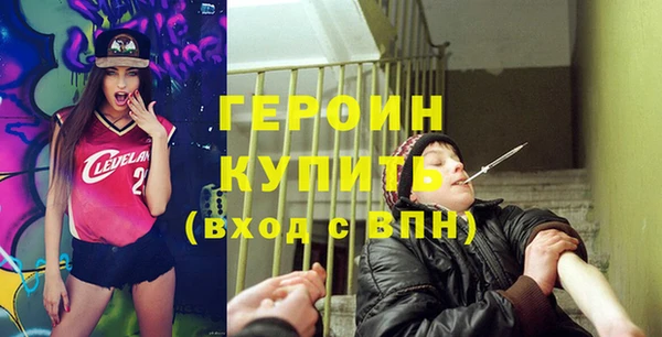индика Гусев