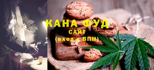 индика Гусев