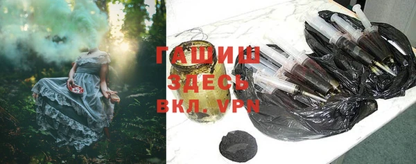 индика Гусев