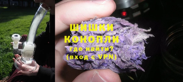 хмурый Гусь-Хрустальный