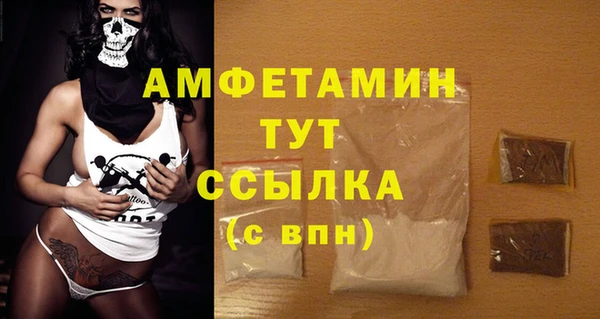 индика Гусев