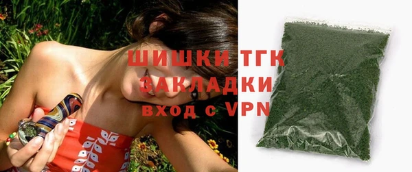 индика Гусев