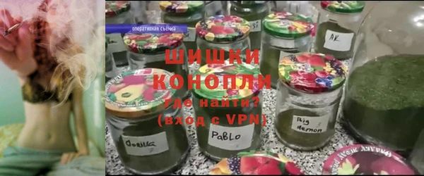 дживик Гусиноозёрск