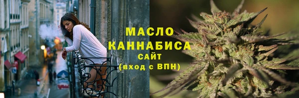 хмурый Гусь-Хрустальный