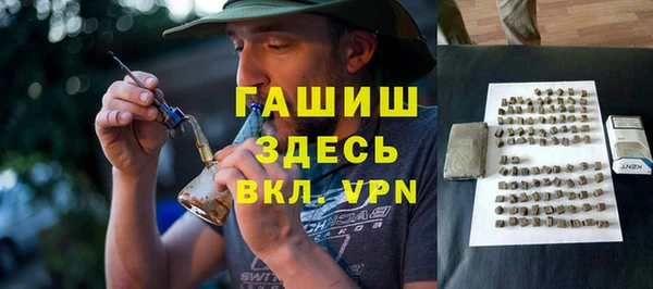 хмурый Гусь-Хрустальный