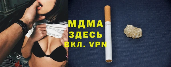 индика Гусев