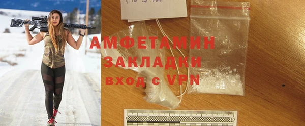 индика Гусев