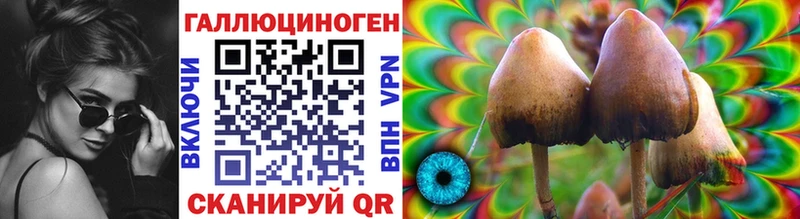 блэк спрут рабочий сайт  сколько стоит  Уфа  Псилоцибиновые грибы Psilocybe 