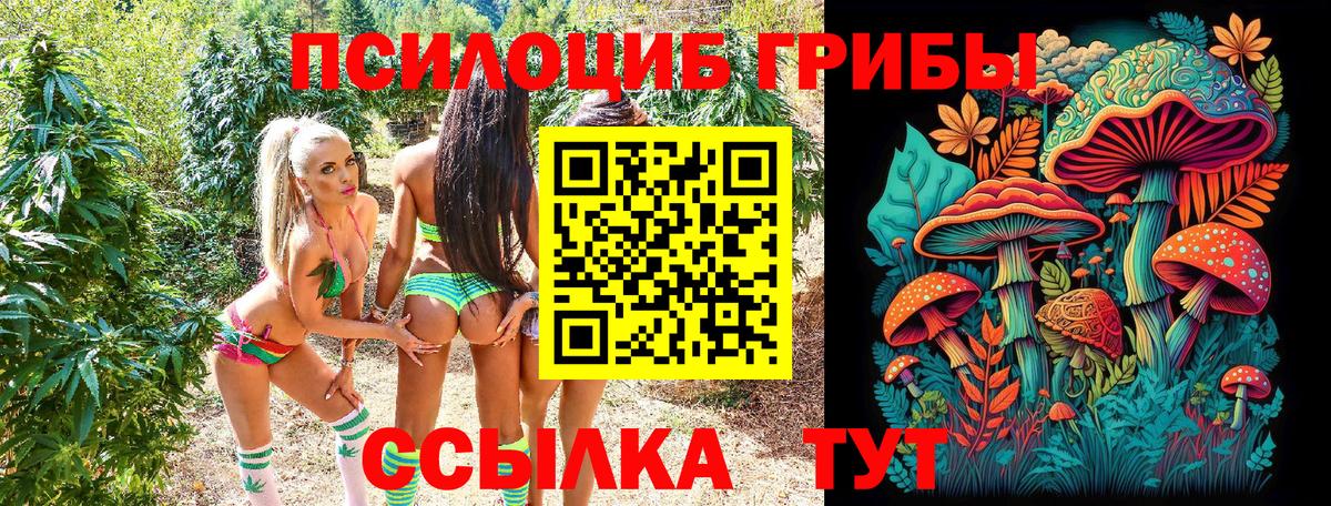 Уфа  Галлюциногенные грибы Magic Shrooms  Вход с VPN 